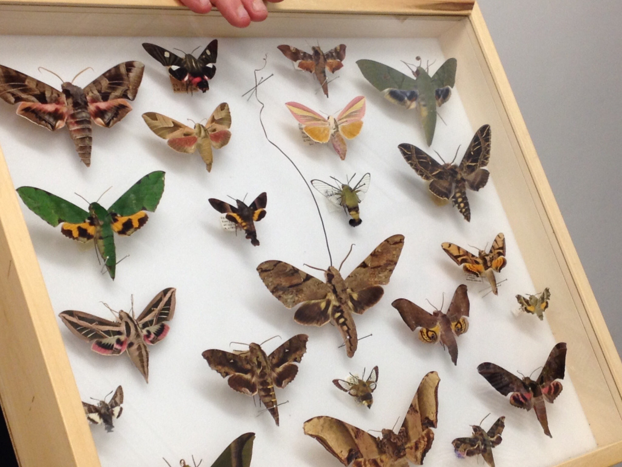 tumblr_nyja9lfDoo1qbsotxo1_1280