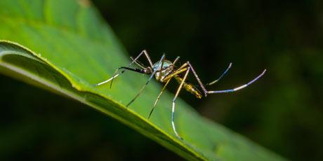 imagevaulthandler-aspx