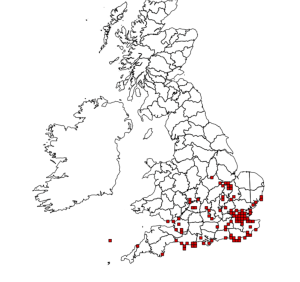 Distribution of Brachinus crepitans. Source: NBN Gateway