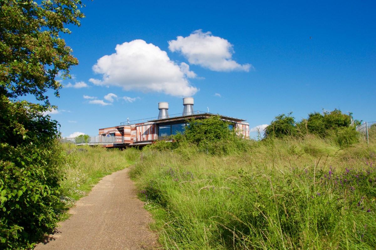Marshland meander: A visit to RSPB Rainham&nbsp;Marshes
