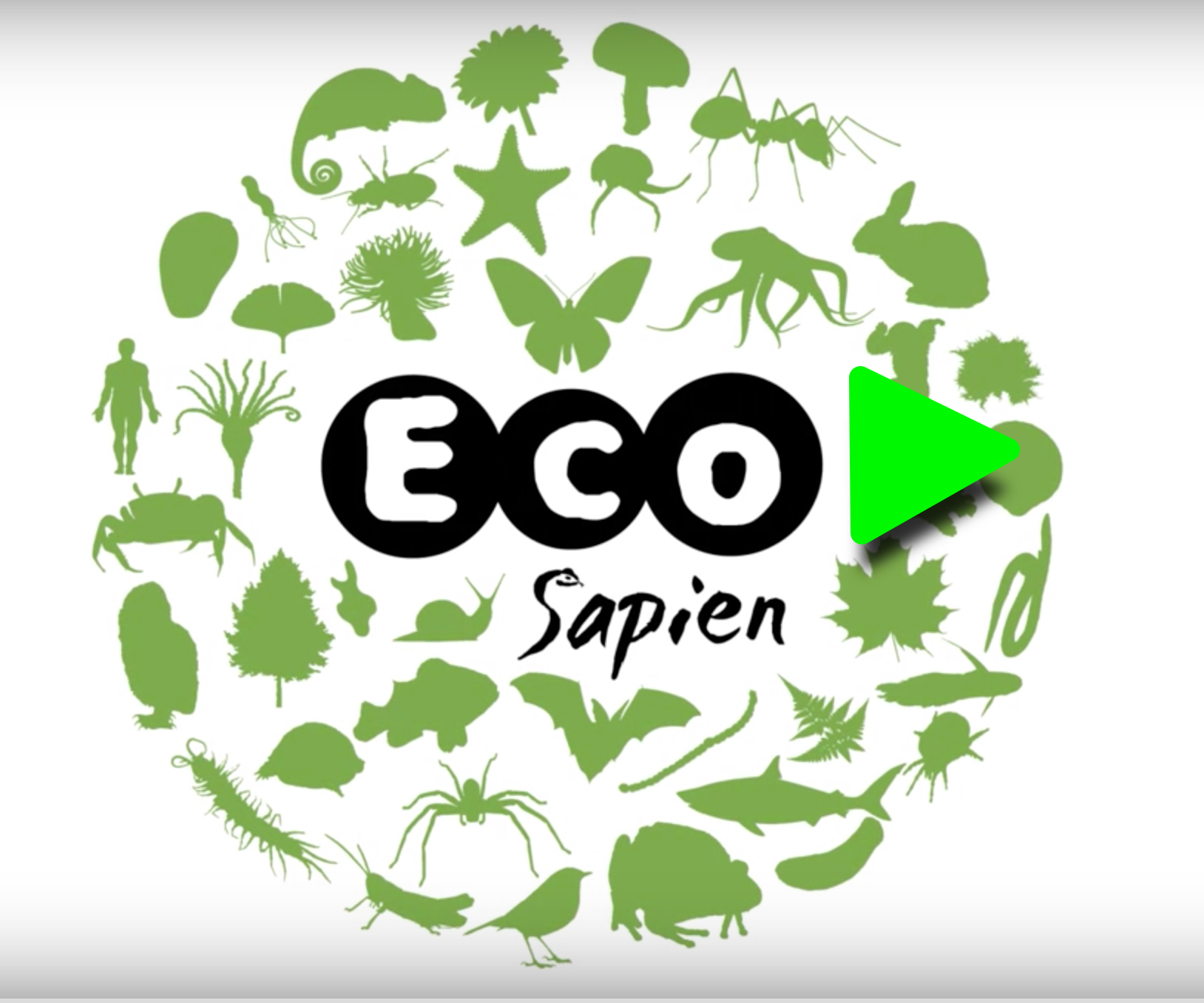 Screen Shot 2016-06-12 at 13.41.11