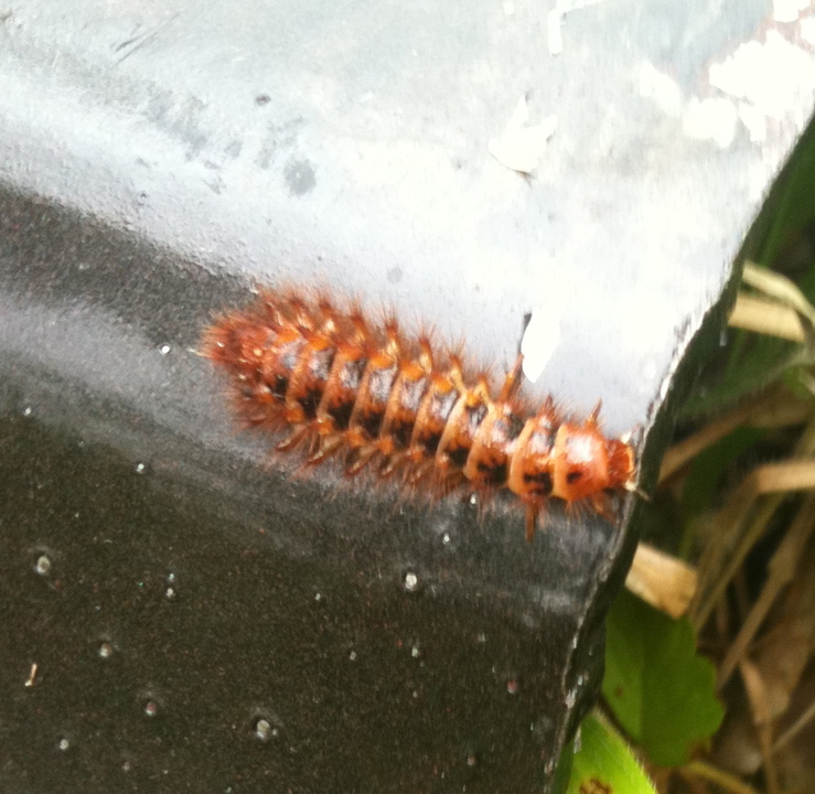 f622af4f124372600cb7c9061e9163ff