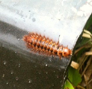 f622af4f124372600cb7c9061e9163ff