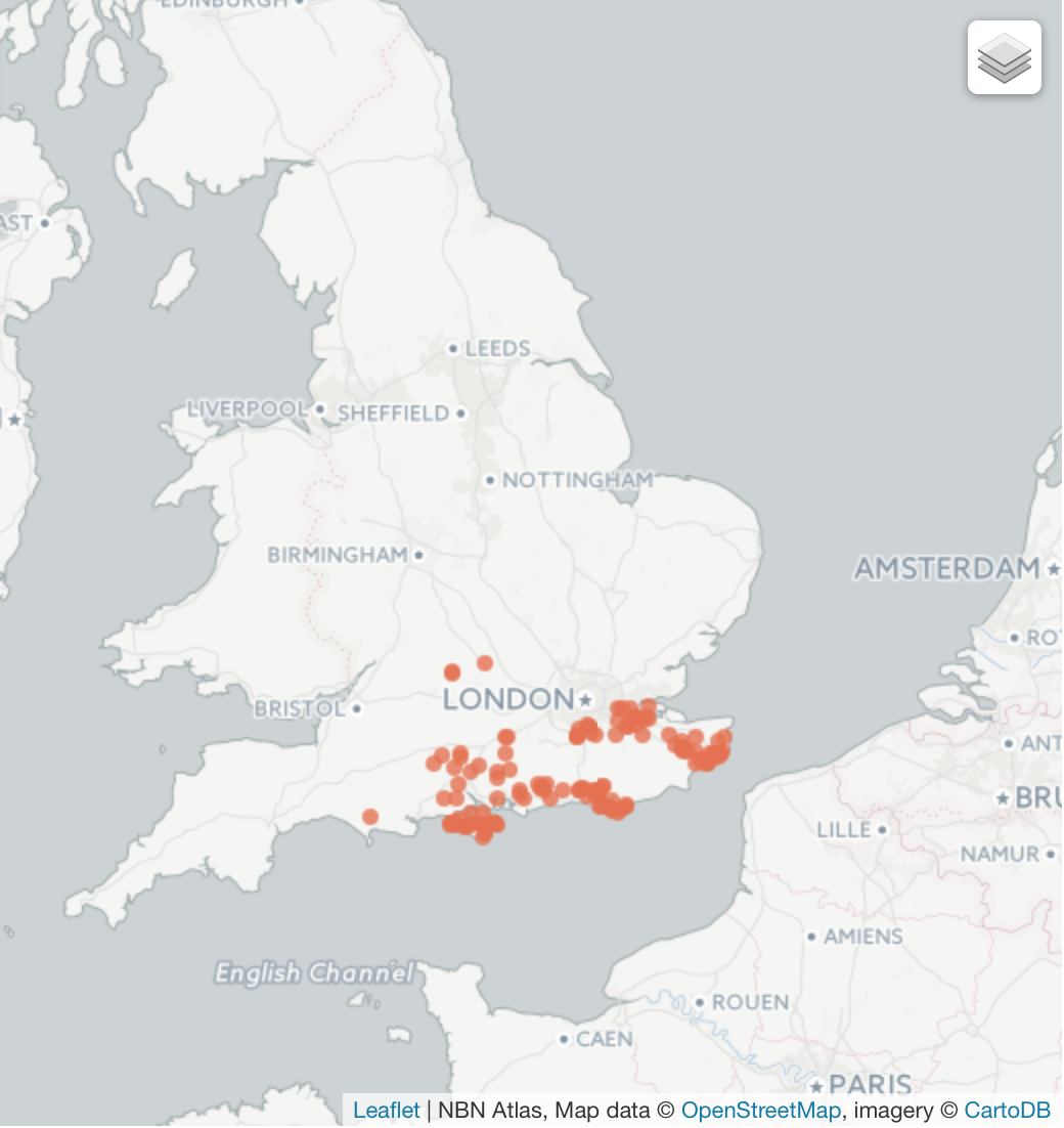 Screen Shot 2017-05-21 at 07.18.53