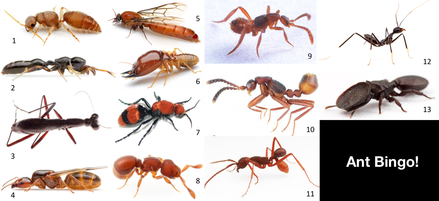 Screen Shot 2018-02-22 at 15.27.30