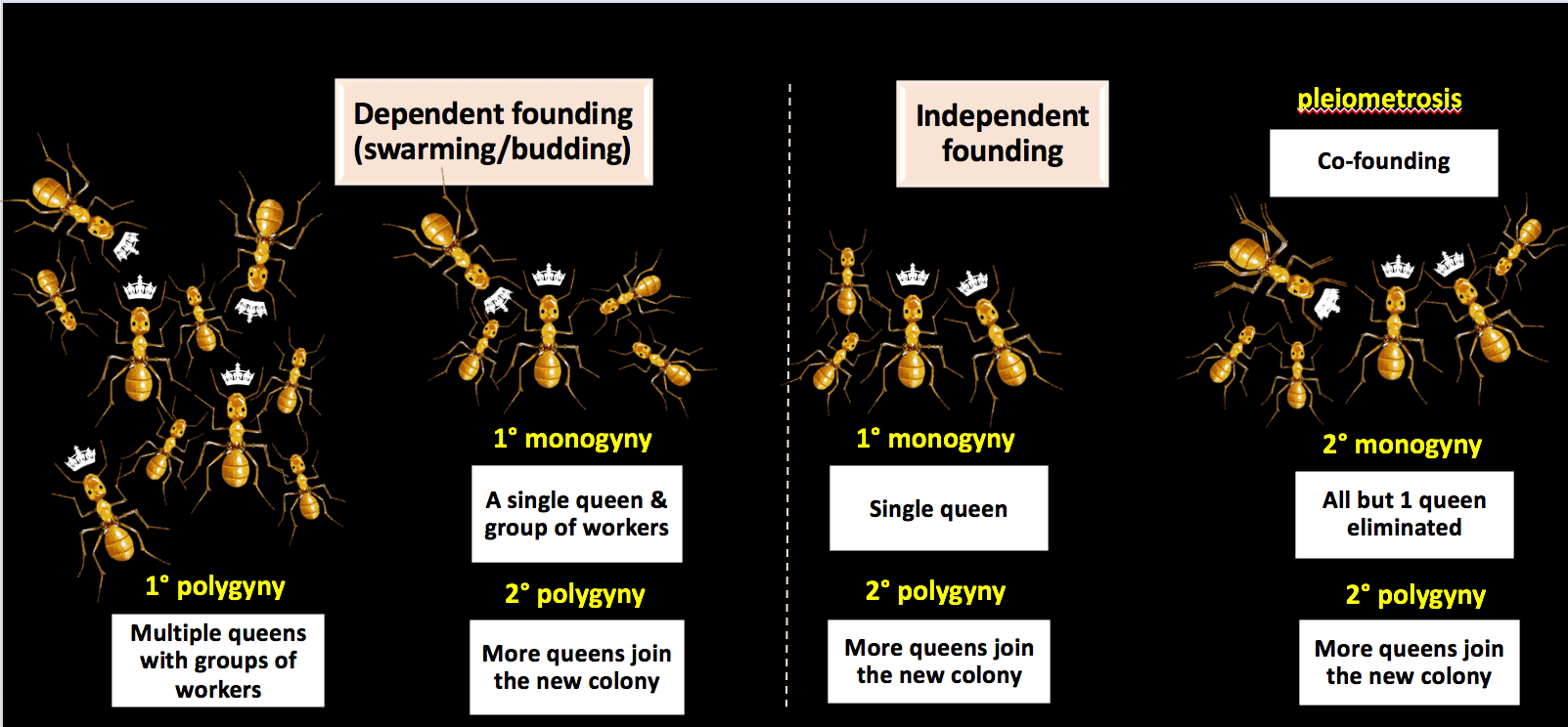 Screen Shot 2018-02-22 at 16.47.50