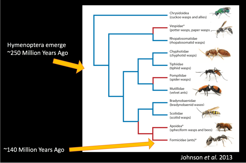Screen Shot 2018-02-22 at 17.16.21