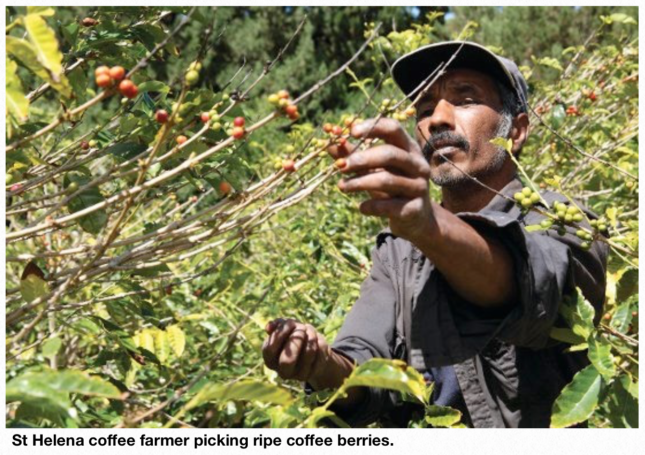 Screenshot 2018-09-29 at 11.44.31.png