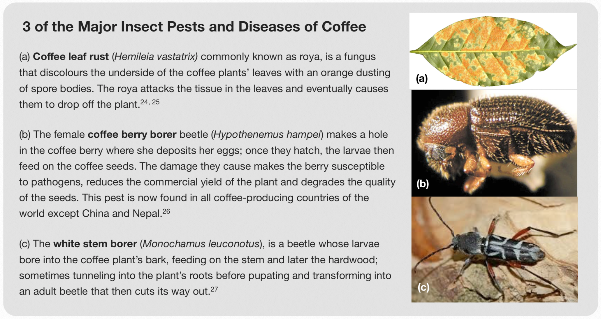 Screenshot 2018-09-29 at 11.45.29.png