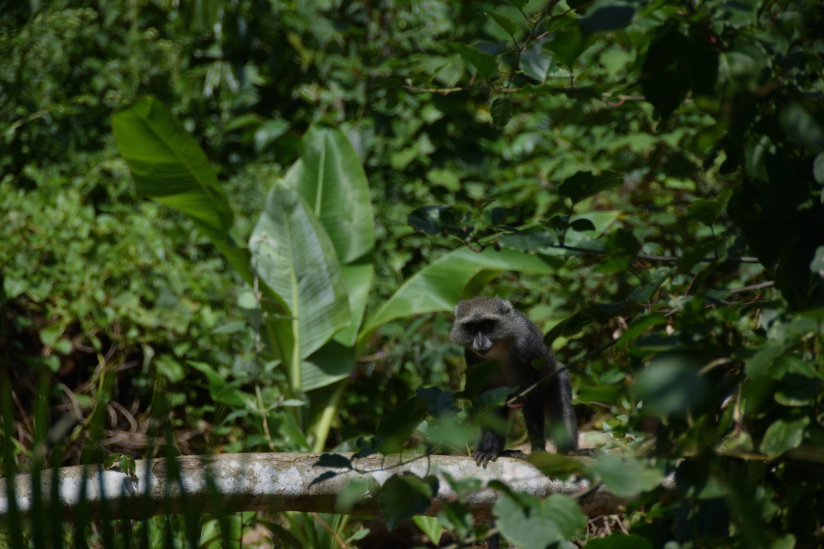 The Hills are (still)&nbsp;alive